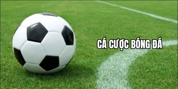 Cá Cược Bóng Đá: Thỏa Sức Đam Mê, Đem Tiền Về Túi Tại 999Bet 1 Tìm Hiểu Cá Cược Bóng Đá