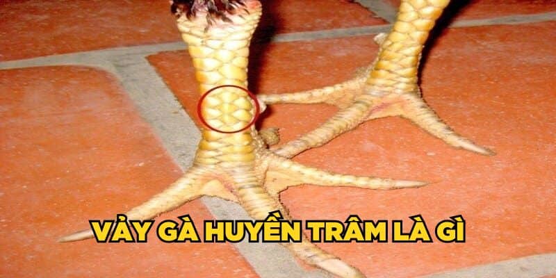 vay ga huyen tram 675ef5804d5aa